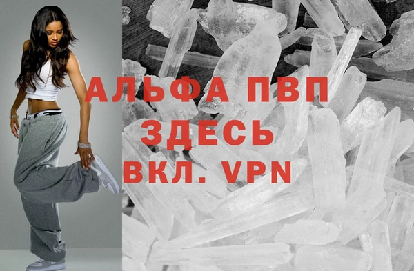 СК Абаза