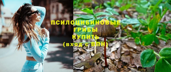тгк Домодедово